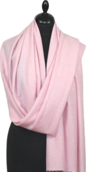 Pashmina Rose Ple